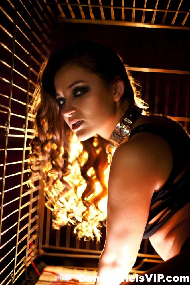 Stainless Steel Slavery: Dani Daniels' Iron Chastity - Dani Daniels