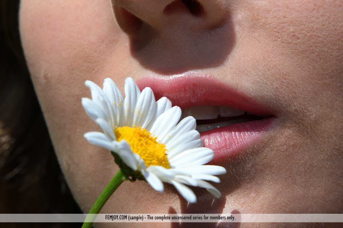 Merit's Field of Flowers: The Crowned Queen of the Boudoir - Merit