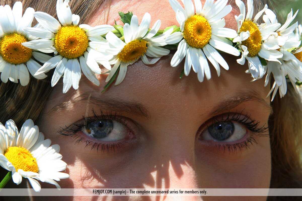 Merit's Field of Flowers: The Crowned Queen of the Boudoir - Merit