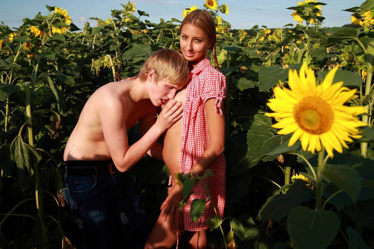 Sunflower Sensation Iva and Augustin’s Field Fuck