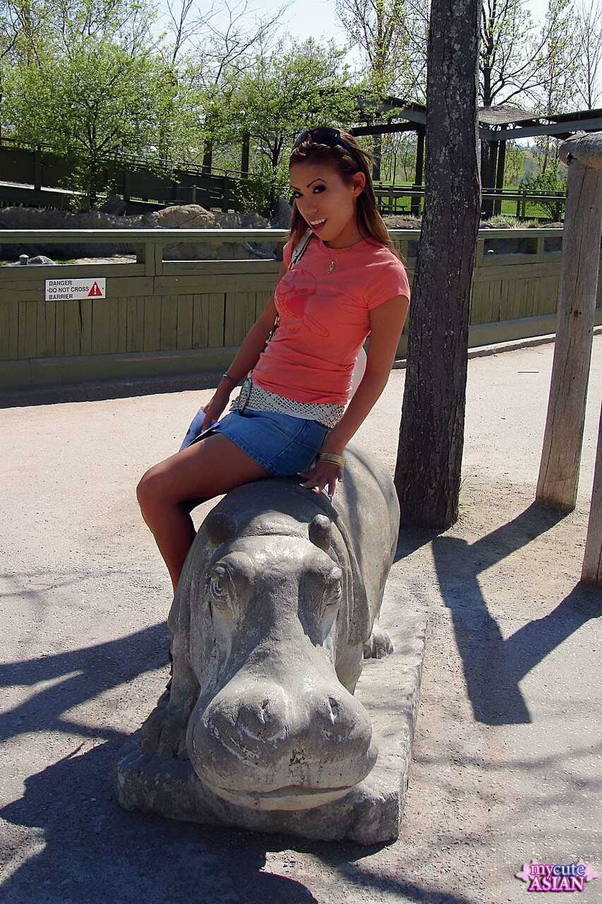 The Curious Case of the Sneaky Asian Amateur at the Zoo: Flashing her Boobs and Panties for a Public Upskirt Peek - 