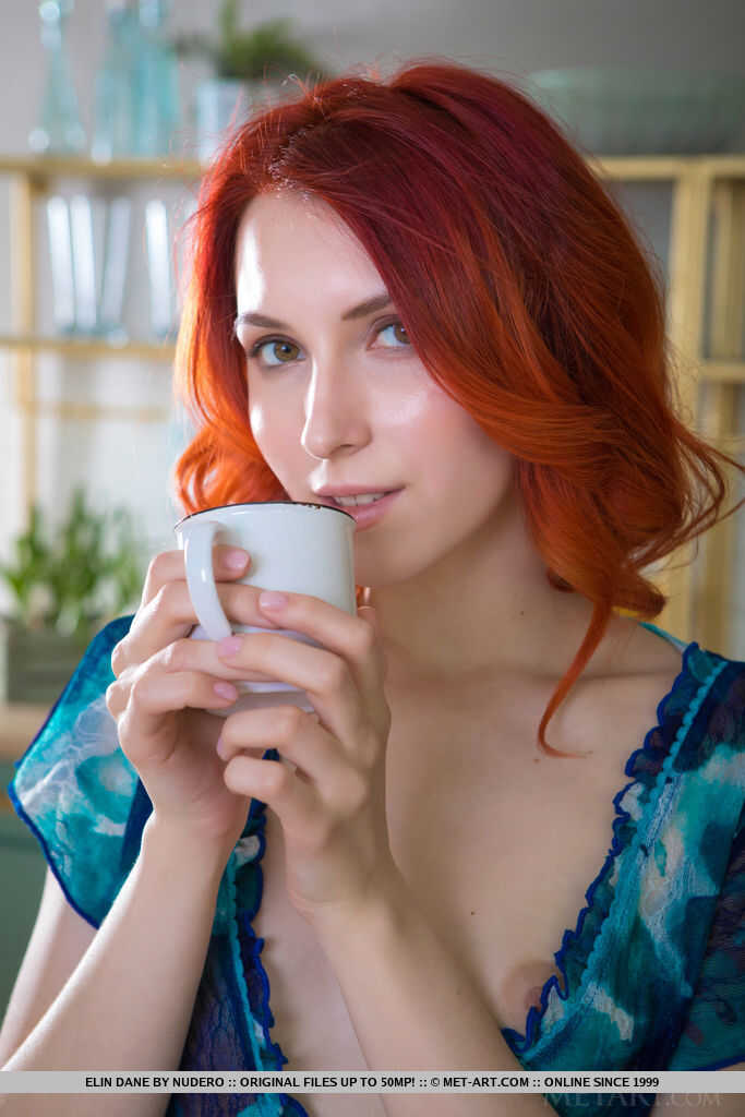 Pale redhead Elin Dane takes a seat on the countertop, spreading her legs wide open as she sips her tea while her big pink pussy peeks out from between her thighs.