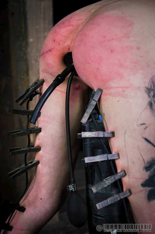 The Brutal Caning of Cadence Cross MILF Ass Restrained Welts Big Ass MILF Tattoo - Cadence Cross, Nikki Darling