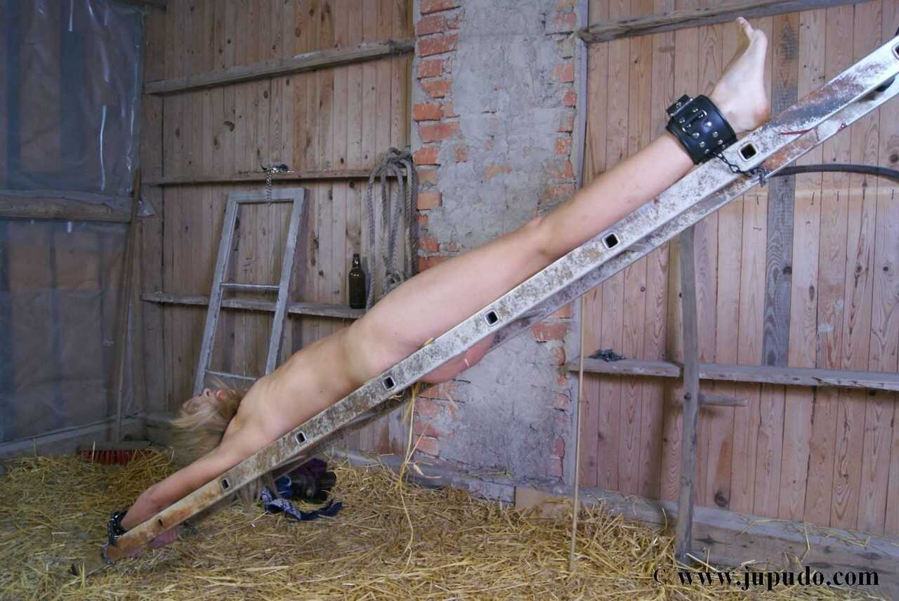 Barnyard Bimbo: The Naughty Farmhand