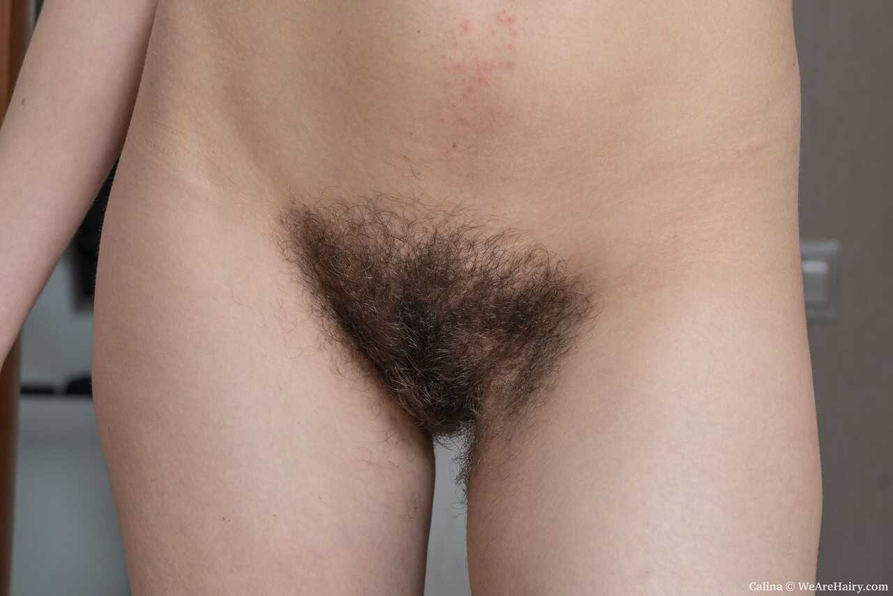 Short-haired Calina bares her A-cups and hairy pussy before showing her full bush! - Calina