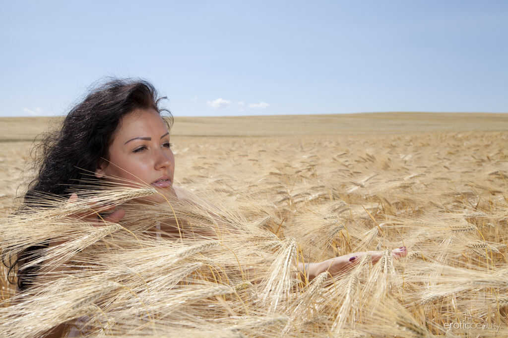 Young brunette Maliko gets fucked hard in the wheat field after showing off her bare ass - Maliko
