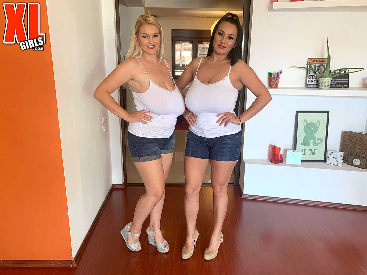 The Star Sisters' Double D Denim Delight Erin & Helen's Milfy Massive Boobs Playtime in Short Shorts - Erin ...