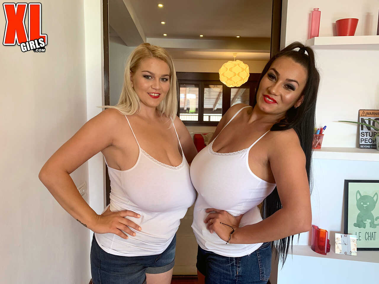 The Star Sisters' Double D Denim Delight Erin & Helen's Milfy Massive Boobs Playtime in Short Shorts - Erin ...