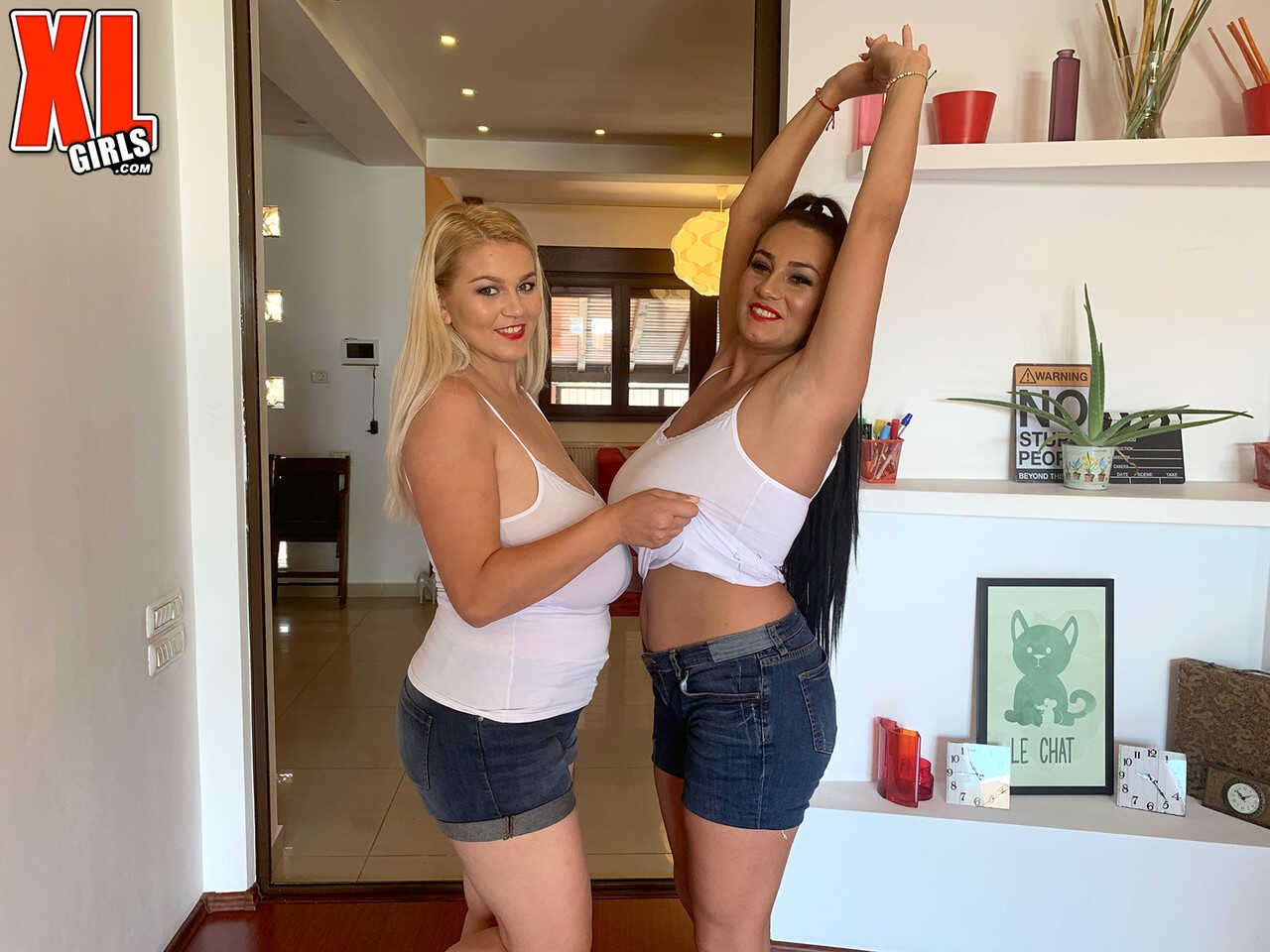 The Star Sisters' Double D Denim Delight Erin & Helen's Milfy Massive Boobs Playtime in Short Shorts - Erin ...