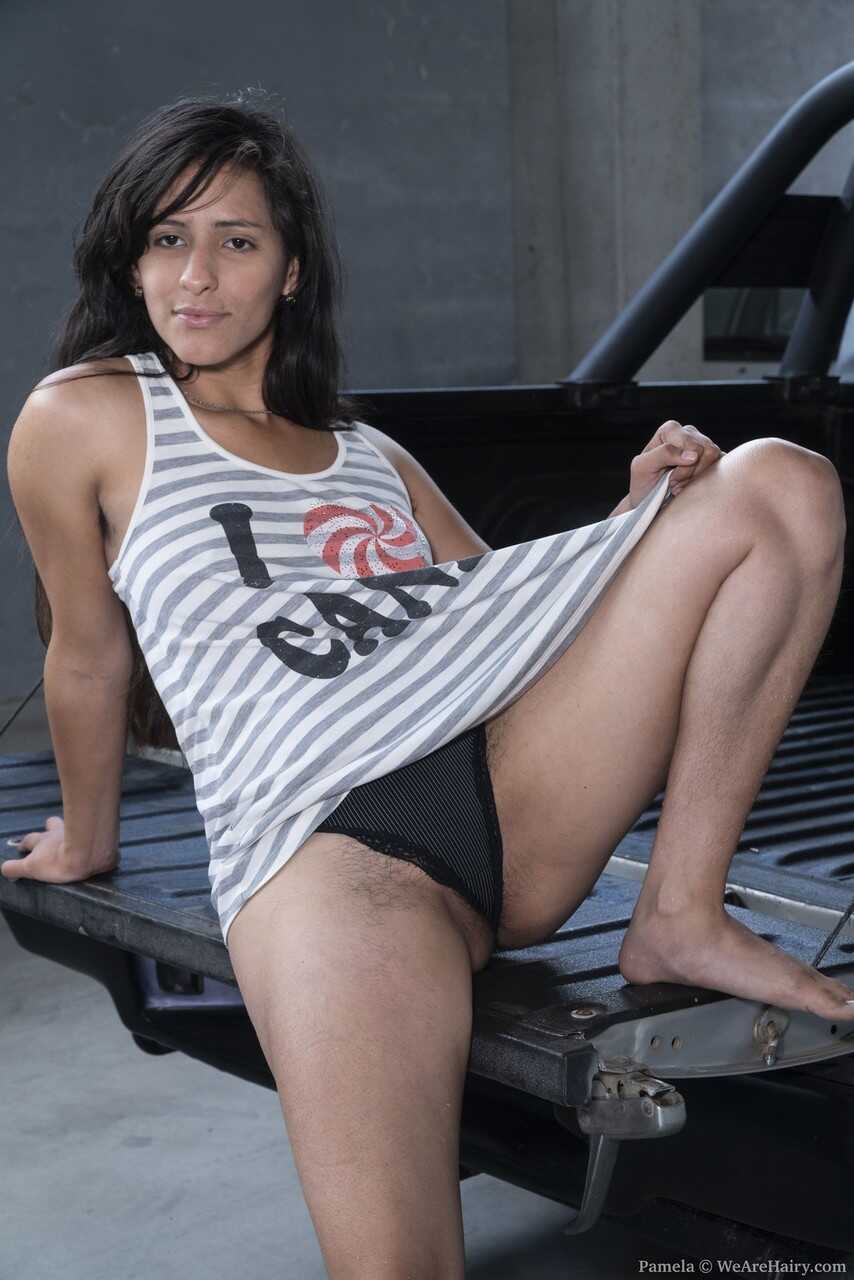 Hairy Pamela: The Amateur's Beaver and Underarms in Bed of a Pickup Truck - Pamela
