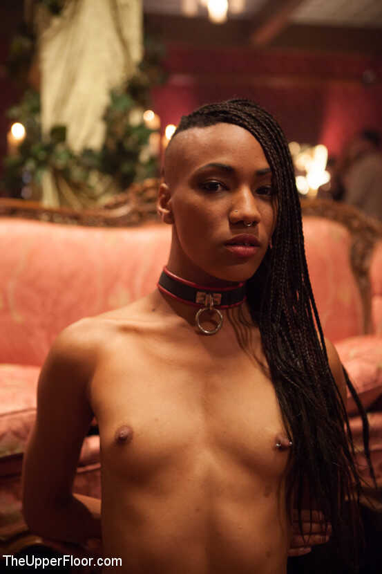 Naughty Collared Slaves Overload Their Master's Cock with Their Mouths in This Naked Fetish Feast! - 