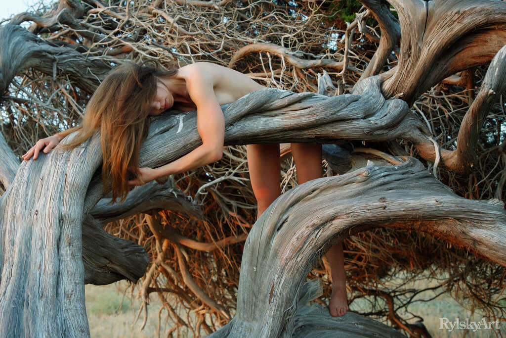 Beautiful young girl Nedda goes full frontal on the roots of a tree, exploring her natural side in the nude. - Nedda