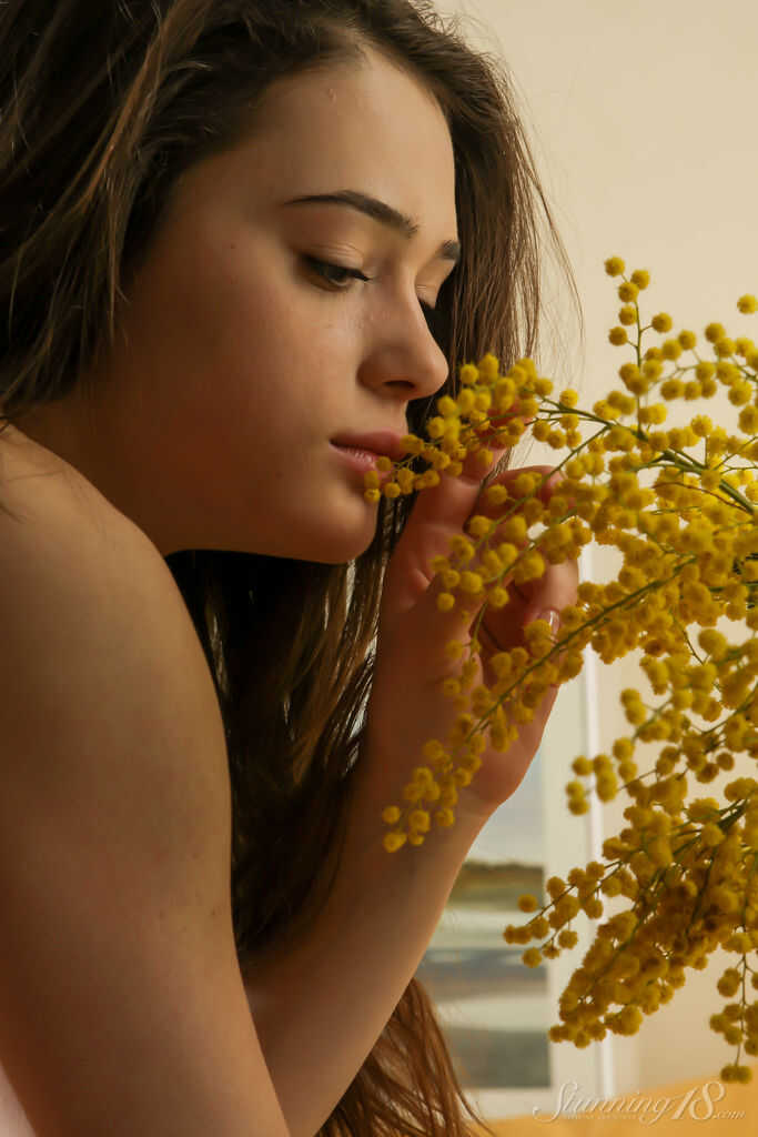 Penelope B Vinona gets off her phone and shows off her sweet brunette teen nudity - Penelope B Vinona