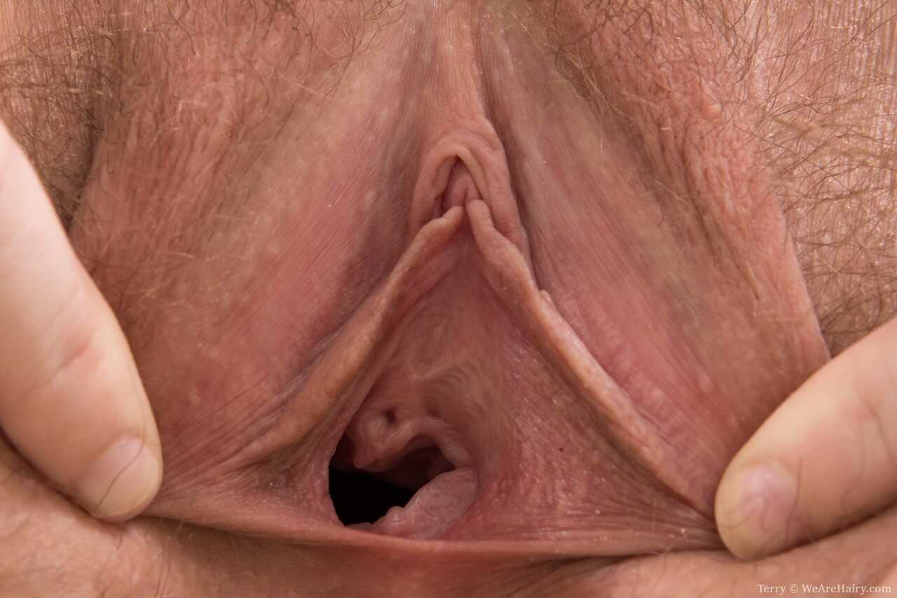 Hairy female Terry shows her big saggy tits loose before stretching her bush wide open and playing with her own hairy puss...