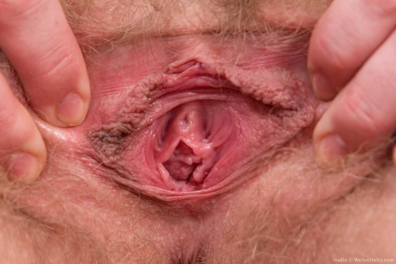 Small Titted Nadin's Gaping Hairy Pussy Exposes Herself in Closeup Shot - Nadin
