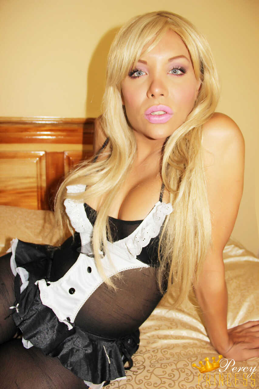 Percy Princess's Shemale Ass in Pantyhose Exposed: A Percy Princess XXX Collection - 