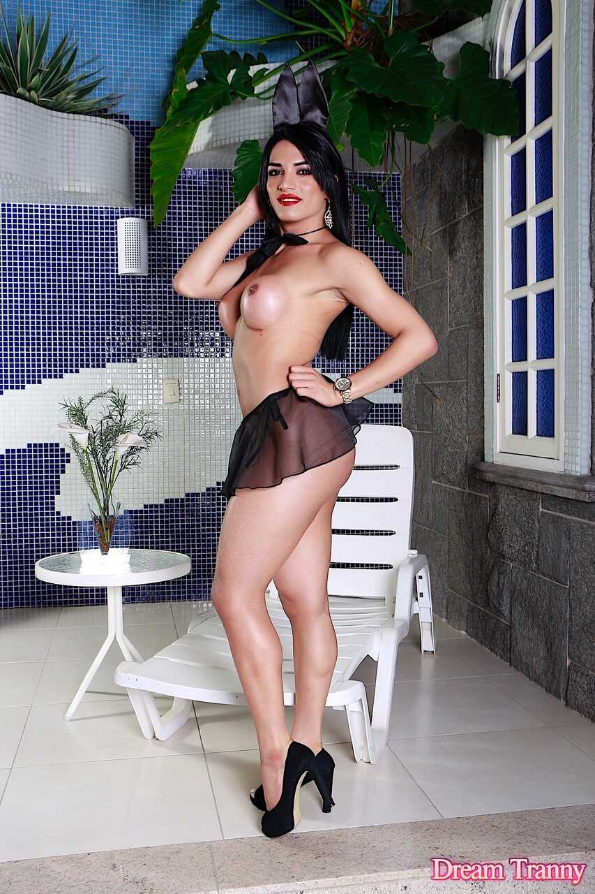 Dream Tranny starring Carolina Martins Porn Images: The Ultimate Shemale Experience - Carolina Martins