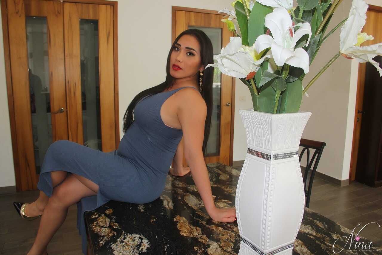 Nina's Stiff Big-Booty Shemale Cock and Latina Pussy Party! - Nina Stronghold