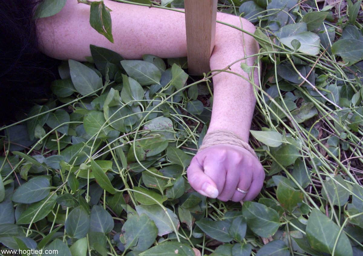 Dark-haired babe Paige Richards gets tied up in a backyard bondage frenzy! - Paige Richards