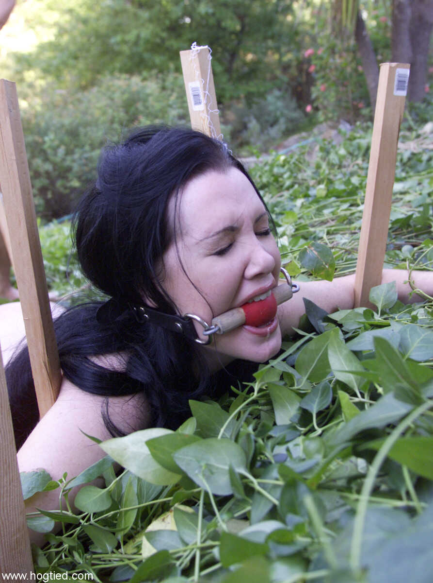Dark-haired babe Paige Richards gets tied up in a backyard bondage frenzy! - Paige Richards