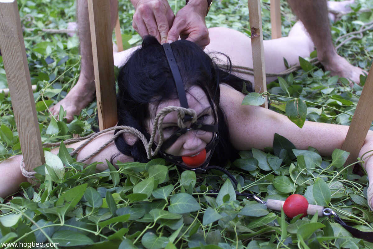 Dark-haired babe Paige Richards gets tied up in a backyard bondage frenzy! - Paige Richards