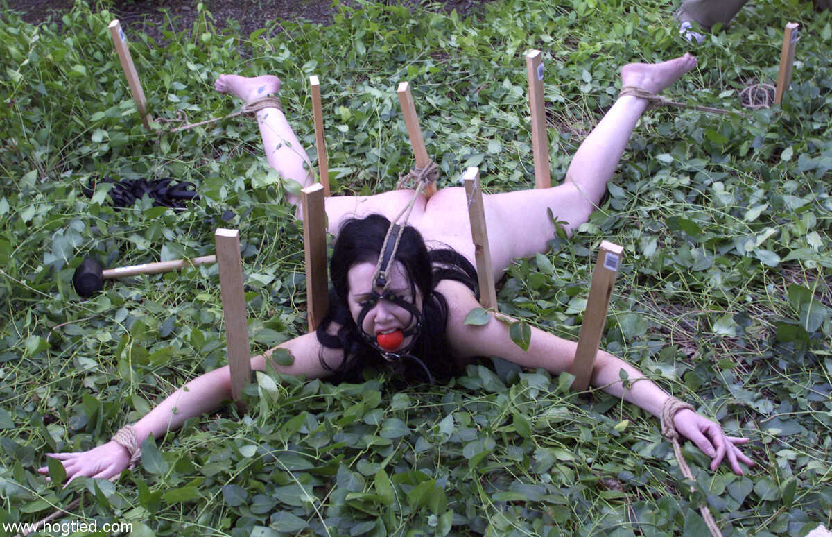 Dark-haired babe Paige Richards gets tied up in a backyard bondage frenzy! - Paige Richards