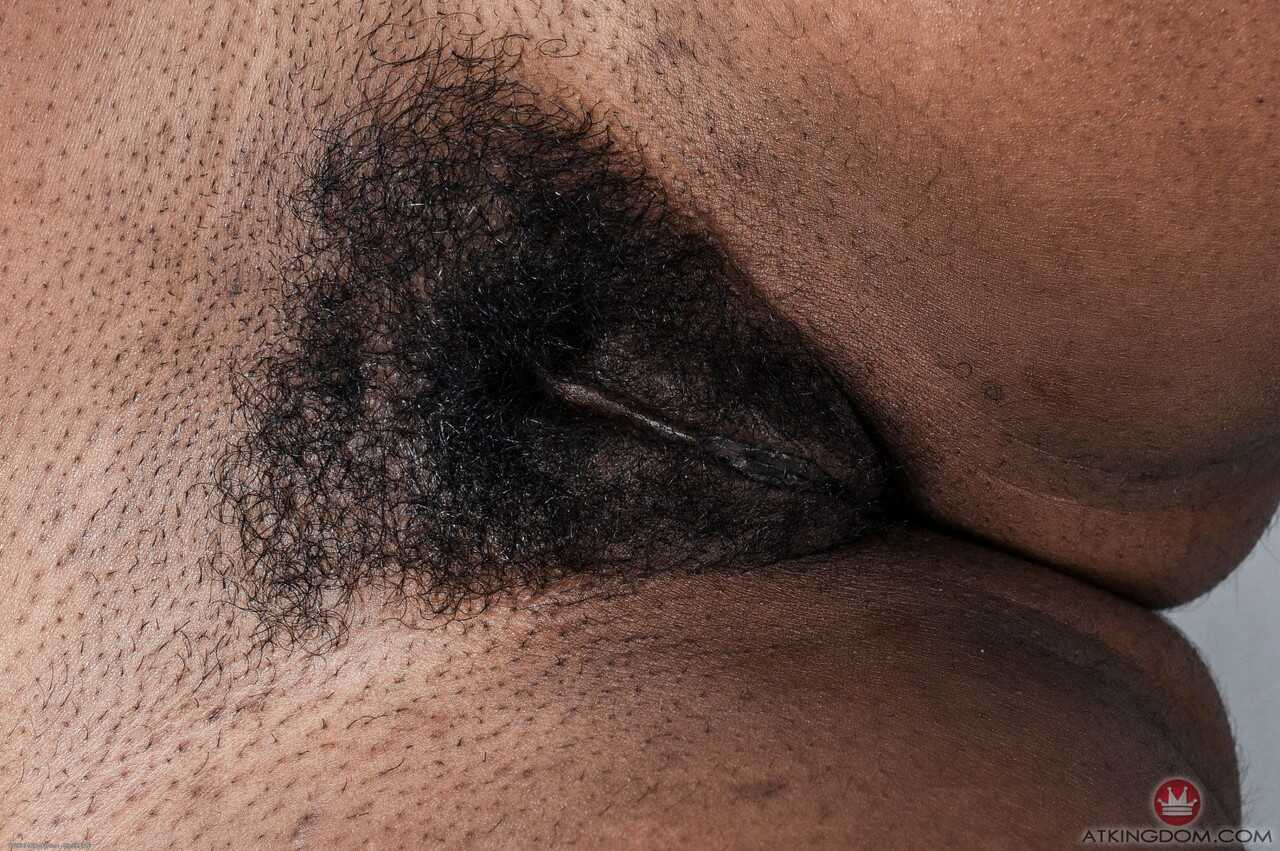 Ebony Goddess Janelle Taylor's Hairy Pussy Gets Stretched by a Big Black Dick - Janelle Taylor