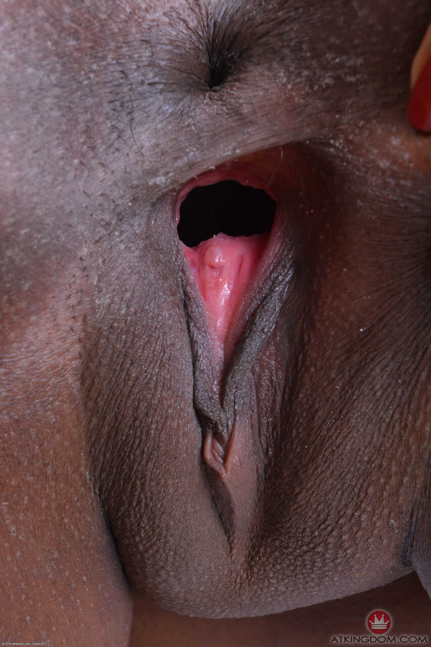 Daya Knight's Juicy Black Pussy Gets Licked and Sucked by a Hungry Dick! - Daya Knight