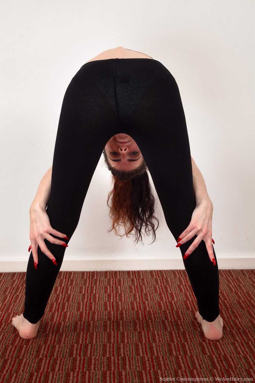 Yoga Doll's Furry Crotch Scarlet Contemptuous Strips and Poses for Your Pleasure! - Scarlet Contemptress