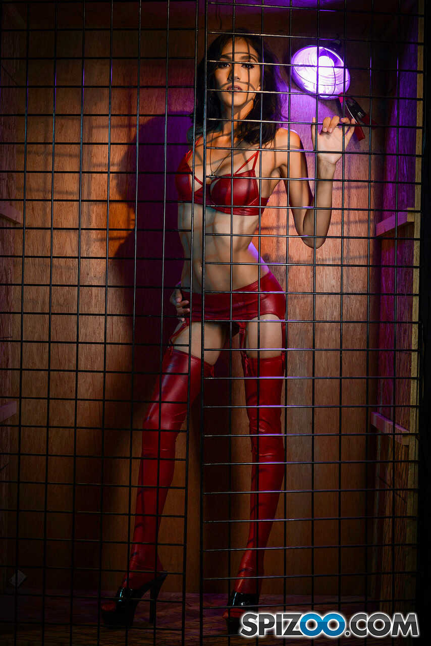 Jessica Jaymes' Skinny Mature Adventure with Lovely Brunette Babe Destiny Lovee in Red Lingerie and a Cage - Anna Bel...