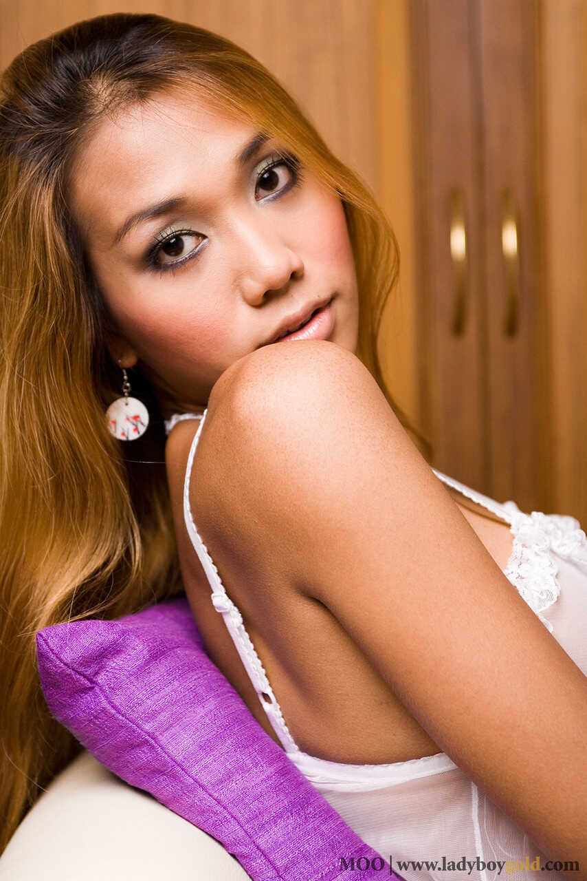 Big Boobs Thai Ladyboy Teases in Alluring Lingerie: MOO 1 - MOO 1