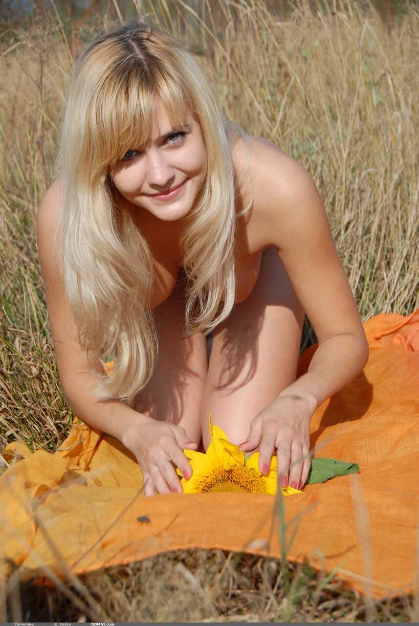 Country Sunflower Camomile: A Young Blonde Nude Poses In Nature’s Field