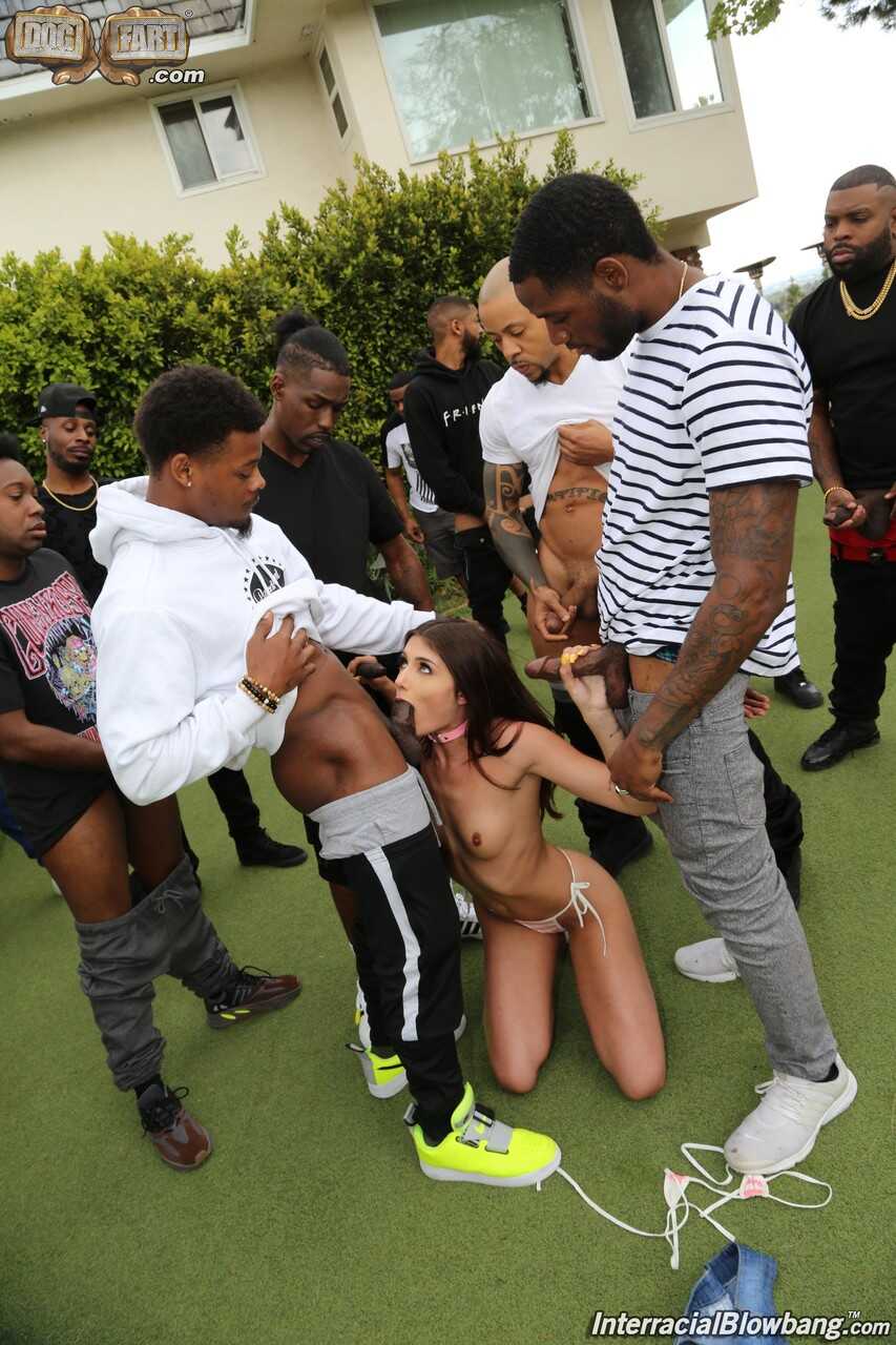 Skinny nympho Adria Rae enjoys an interracial blowbang with black cocks all over her titties - Adria Rae, Chris Cock, Dill...