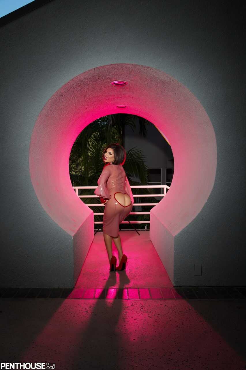 Milf in the Garden: Darcie Dolce Busts Out Her Curves and Teases with a Garden Hose - Darcie Dolce
