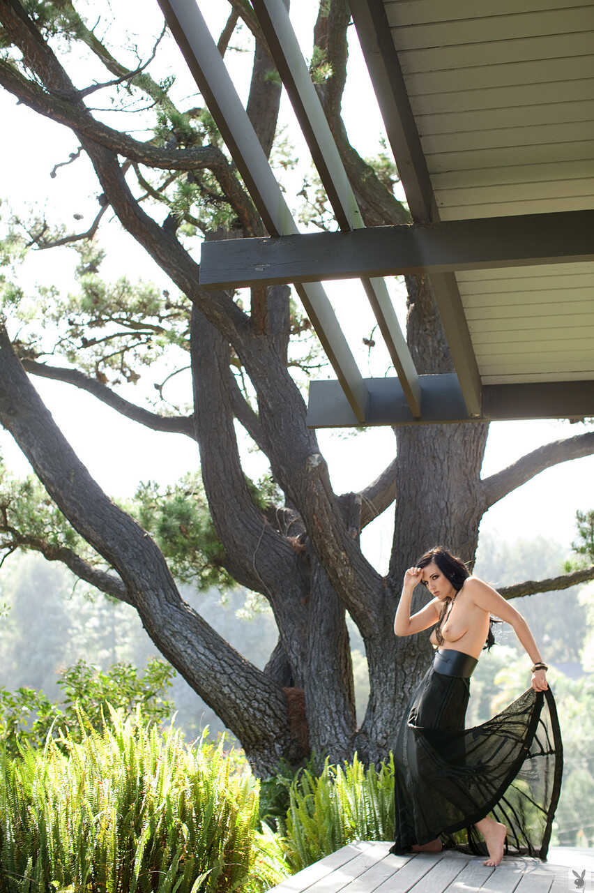 'Kaya Danielle, The Black Sheep of Nature Raven Hair Playmate Poses In Wild Landscape' - Kaya Danielle