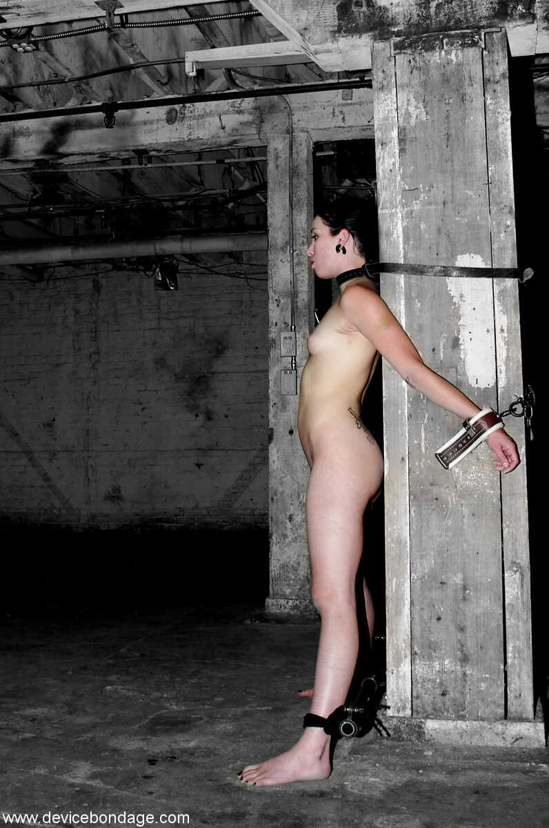 Steel Chains Bound: Nude Submissive Duo Alexa Von Tess and Delilah Strong's Irony of Power Play - Alexa Von Tess, Del...