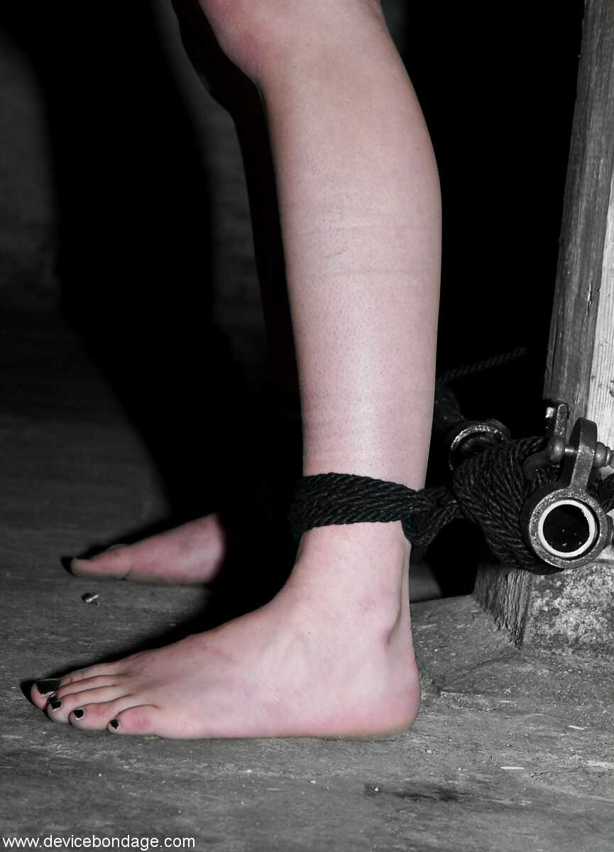 Steel Chains Bound: Nude Submissive Duo Alexa Von Tess and Delilah Strong's Irony of Power Play - Alexa Von Tess, Del...