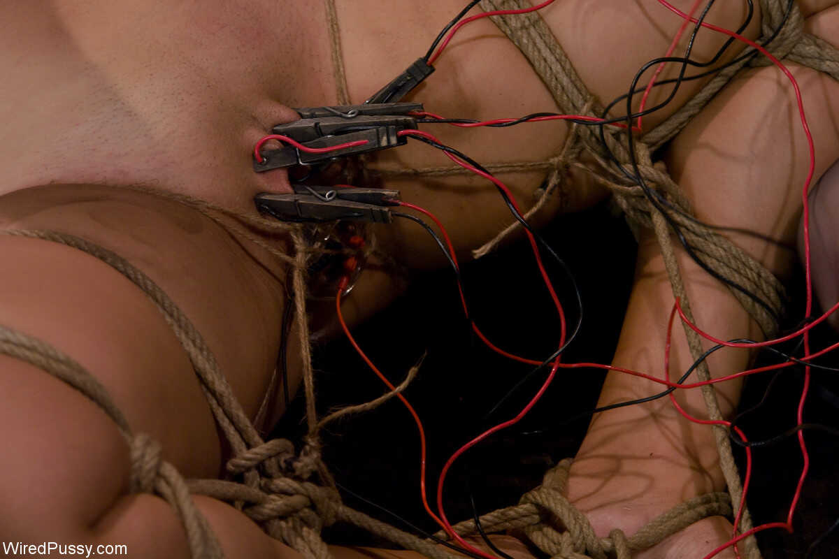 Wired Pussy: Claire Adams and Davina Darling's Lesbian Bondage Session Gone Wild - Claire Adams, Davina Darling