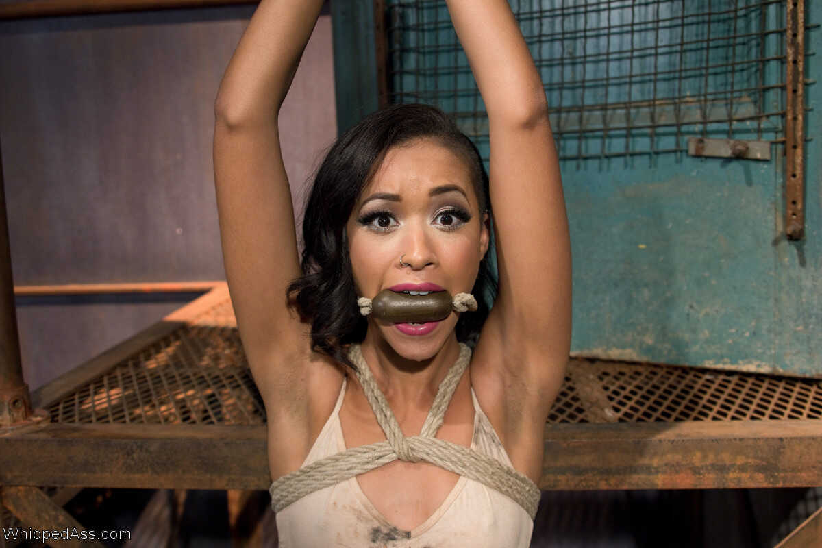 The Ultimate Whipped Ass: Aiden Starr, Maitresse Madeline Marlowe, and Skin Diamond Take You on a Journey of Bondage, Humi...