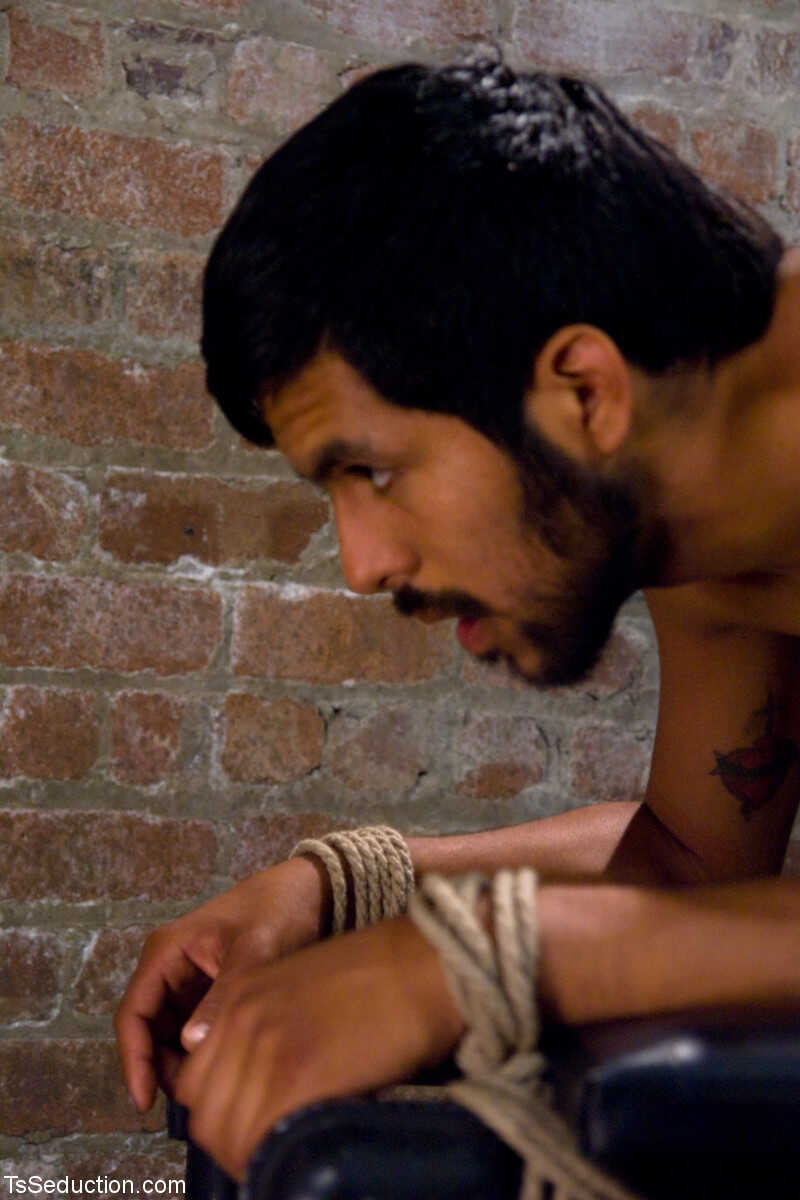 TS Seductress Pancho Santos Tames a Vanilla Guy with Her Black Shemale Wiles in a Bondage-Themed Scene! - Pancho Santos, V...