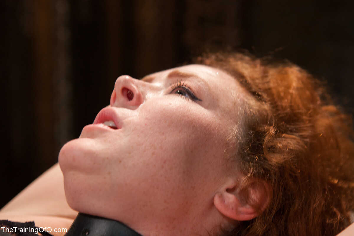 The Curly-Haired Redhead's Training: Audrey Hollander's Bondage Odyssey with Owen Gray - Audrey Hollander, Owen ...