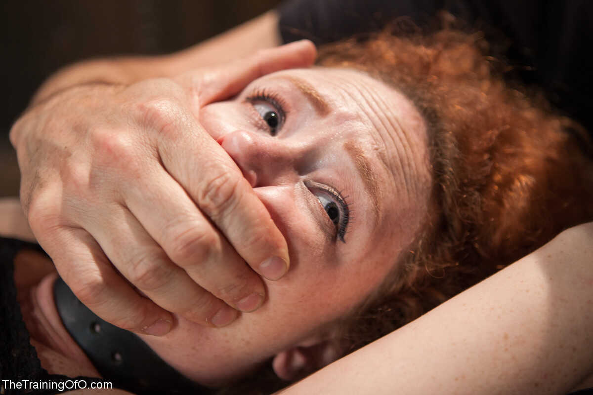 The Curly-Haired Redhead's Training: Audrey Hollander's Bondage Odyssey with Owen Gray - Audrey Hollander, Owen ...