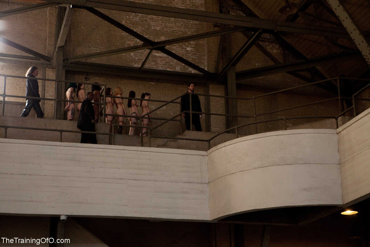 Outdoor BDSM Handlers Strip Lined-up Damsels in Handcuffs: Annabelle Lee, Coffee Brown, Emma Haize, Iona Grace, Krysta Kao...
