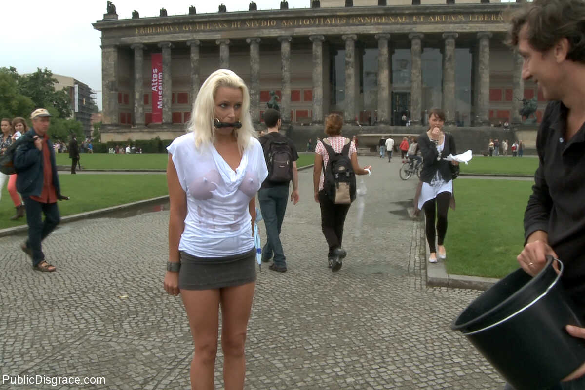 Sophie's Public Disgrace German MILF and Steve Holmes's BDSM Fun in the Sun! - Sophie Logan, Steve Holmes
