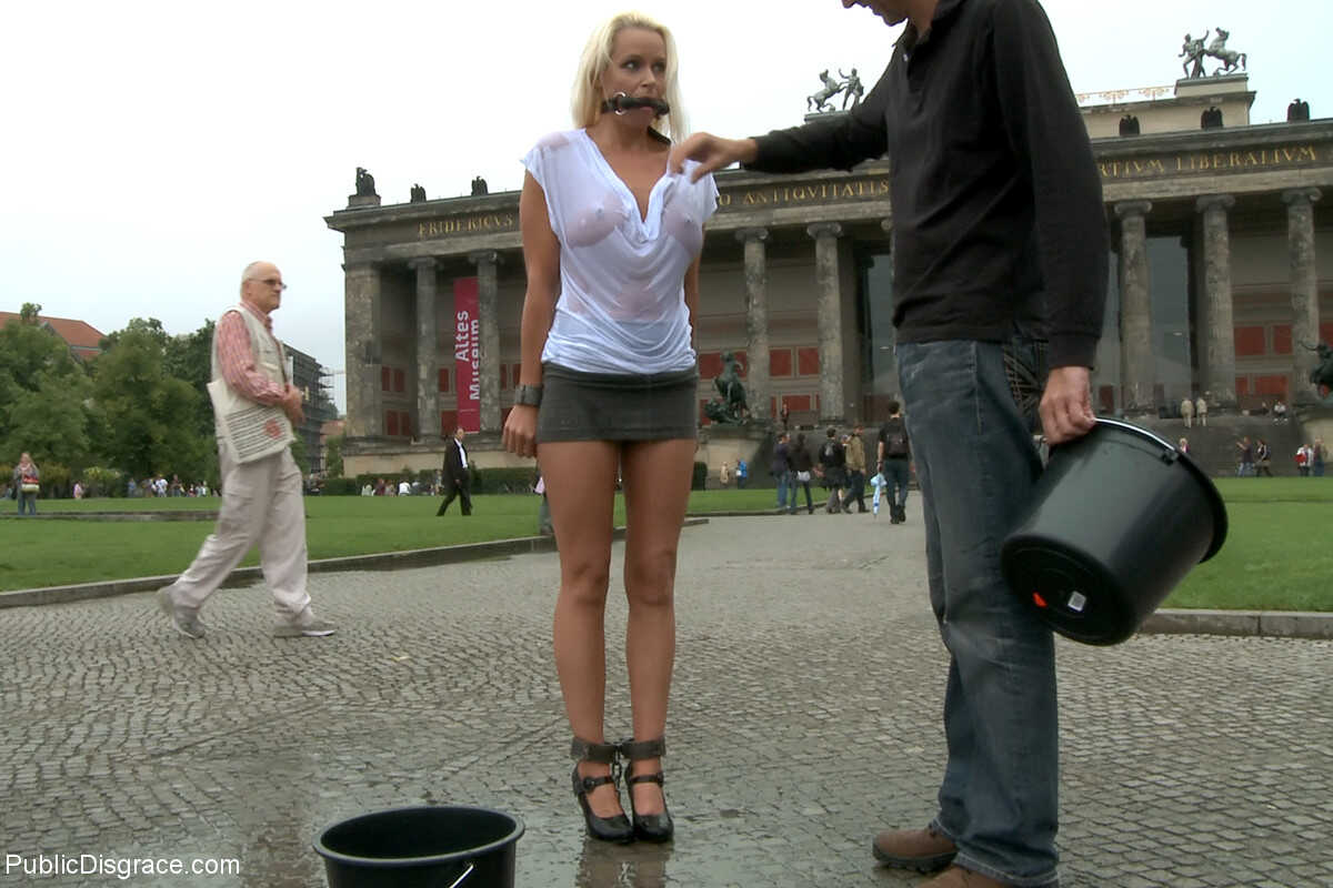 Sophie's Public Disgrace German MILF and Steve Holmes's BDSM Fun in the Sun! - Sophie Logan, Steve Holmes