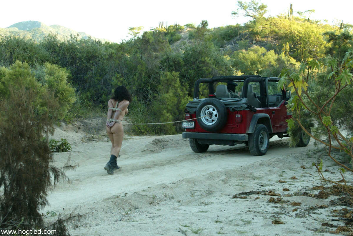 Tied up and tormented! Military MILF Dee Williams gets whipped by her Sergeant in the wilderness - Dee Williams, Jenni Lee...