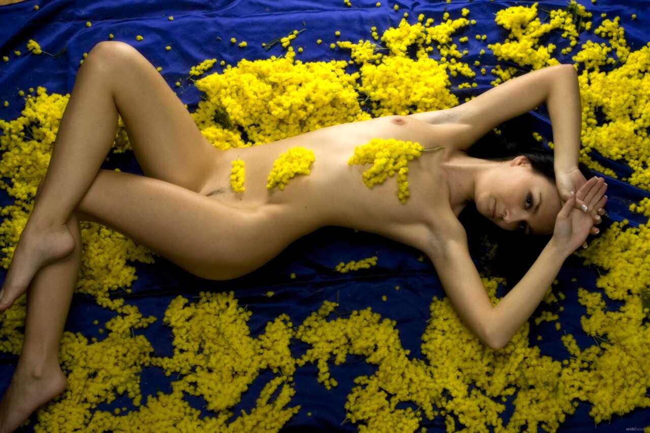 Nicollet's Erotic Beauty Unleashed: A Tale of Lustful Desires in the City of Angels - Nicollet