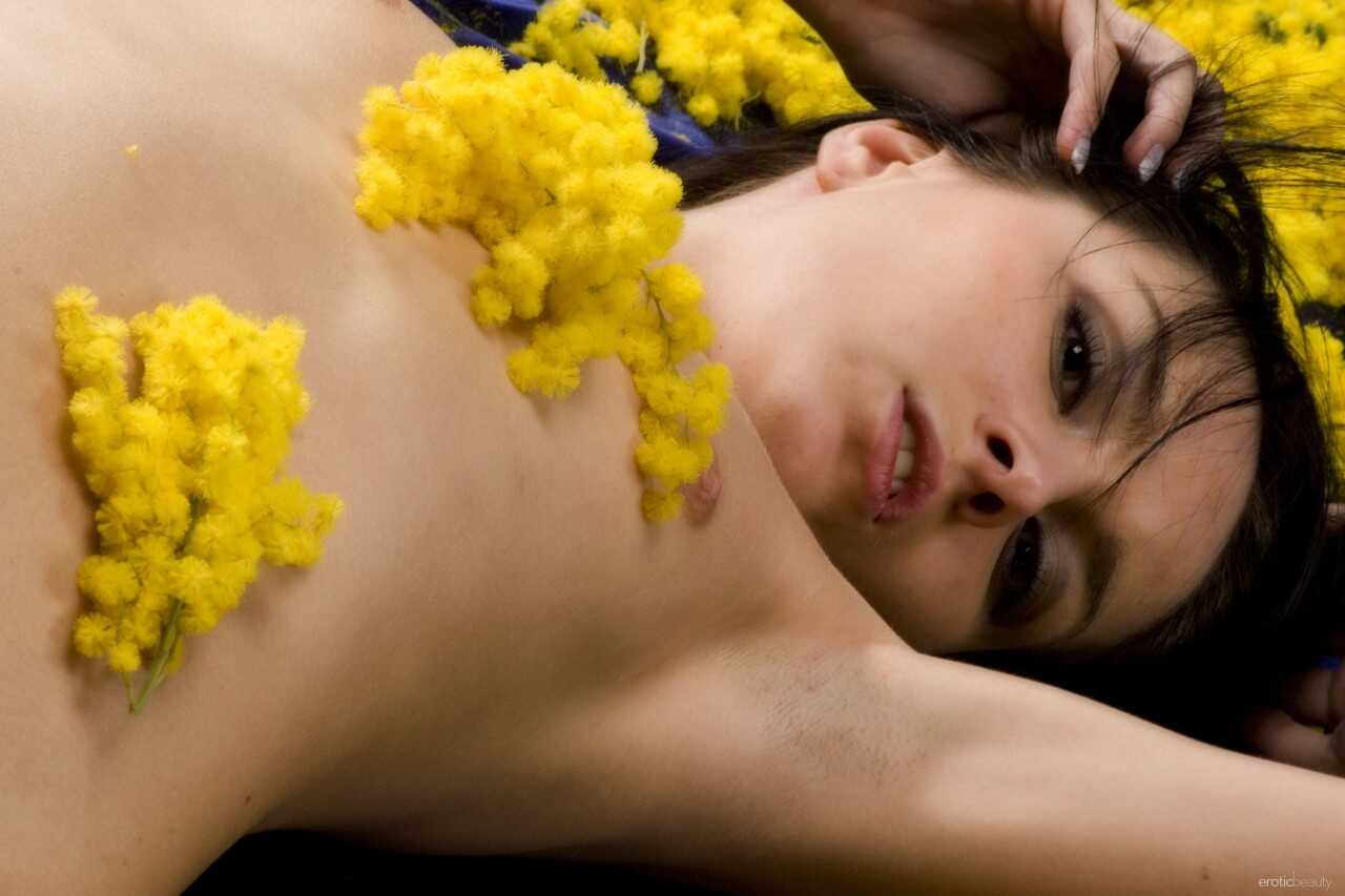 Nicollet's Erotic Beauty Unleashed: A Tale of Lustful Desires in the City of Angels - Nicollet