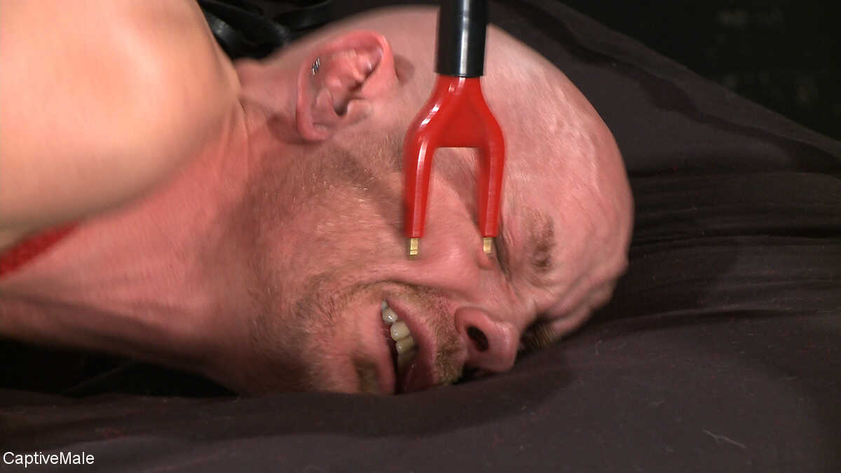 Caged Cocks and Forced Fucking: Mz Berlin Takes Charge of Captive Male Chad Rock - Chad Rock, Mz Berlin