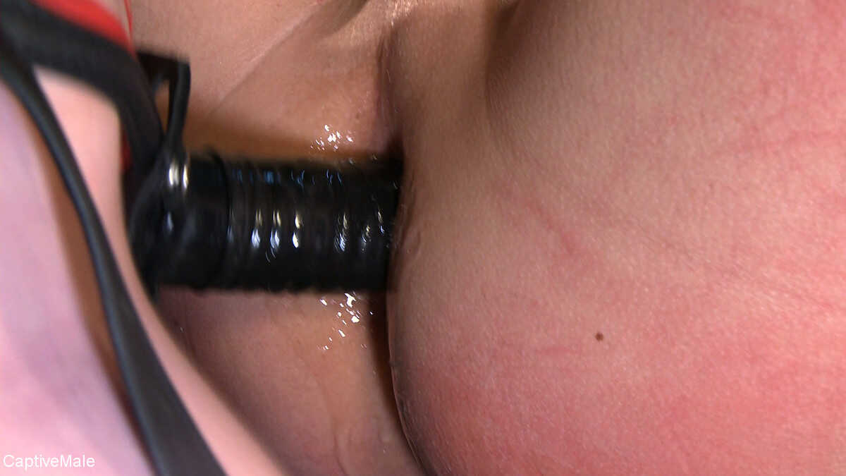 Captive Male Chad Rock's Hard Limits: Taken by Mistress Dia Zerva and Sex Slave Mz Berlin - Chad Rock, Dia Zerva, Mz ...